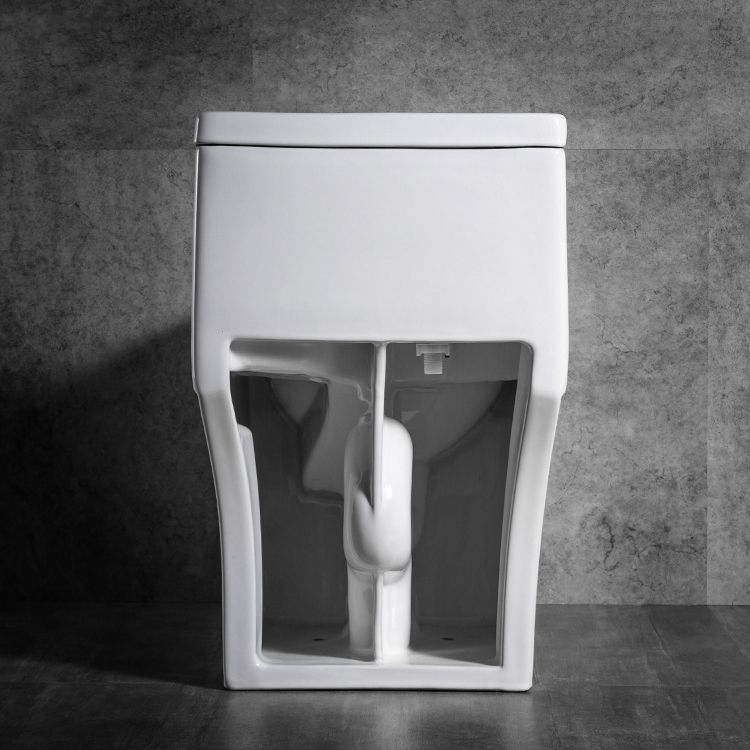 Modern Flush Toilet One Piece Toilet All-In-One Siphon Jet Toilet