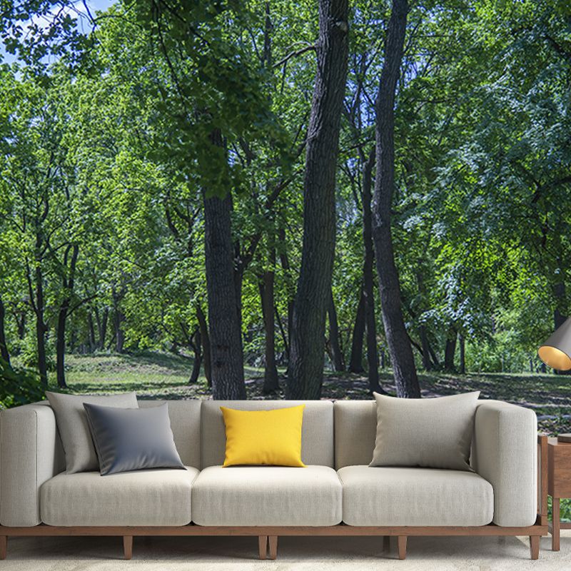 Customized Forest Mural Wall Covering Decorative Mildew Resistant for Reading Room