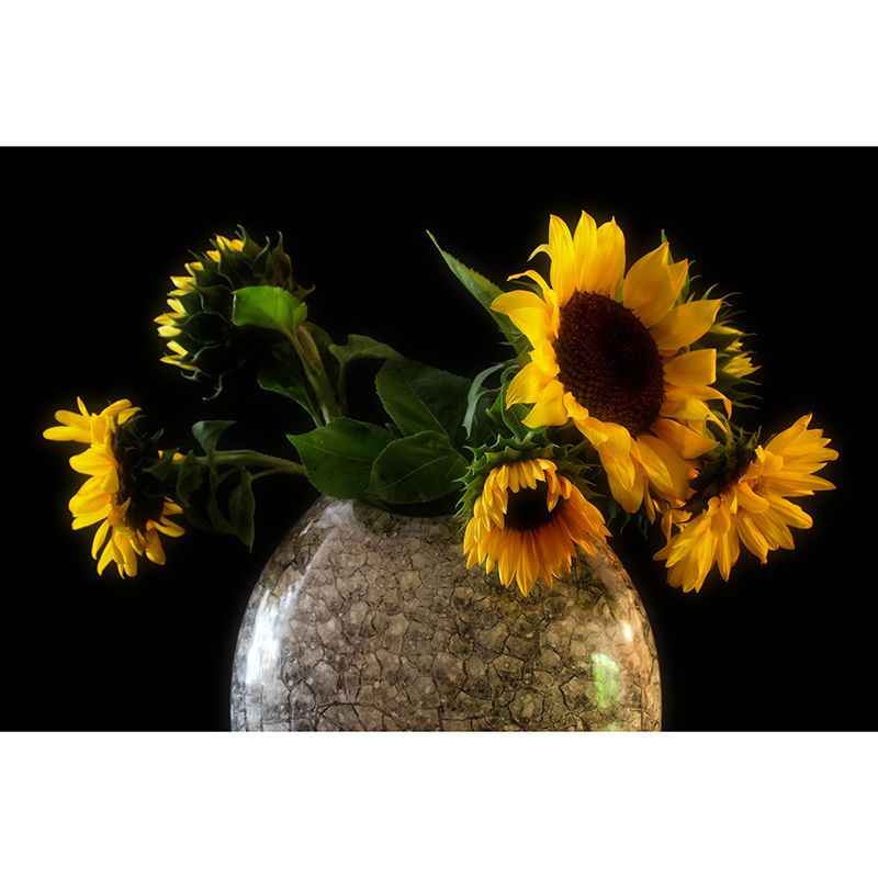 Soft Color Bouquet Mural Contemporary Photography for Living Room Decoration