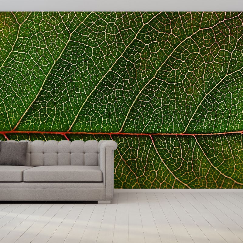 Decorative Wall Mural Wallpaper Plant Sitting Room Wall Mural