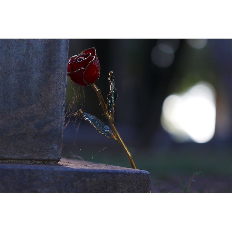 Roses Mildew Resistant Mural Wallpaper Living Room Wall Mural