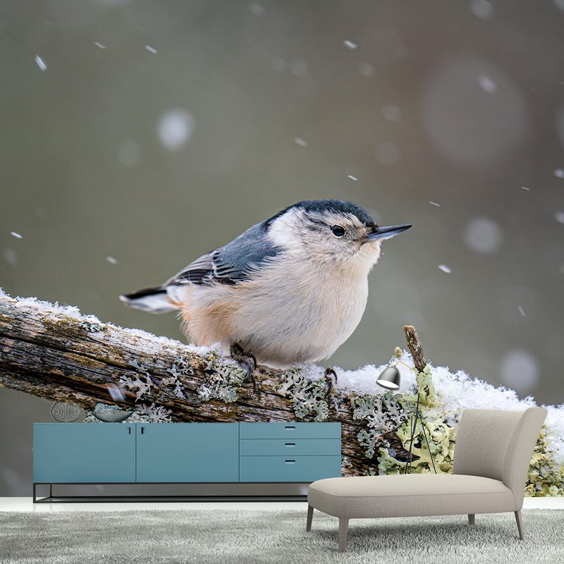 Bird Print Mildew Resistant Wall Mural Wild Animal Wallpaper Room Wall Mural