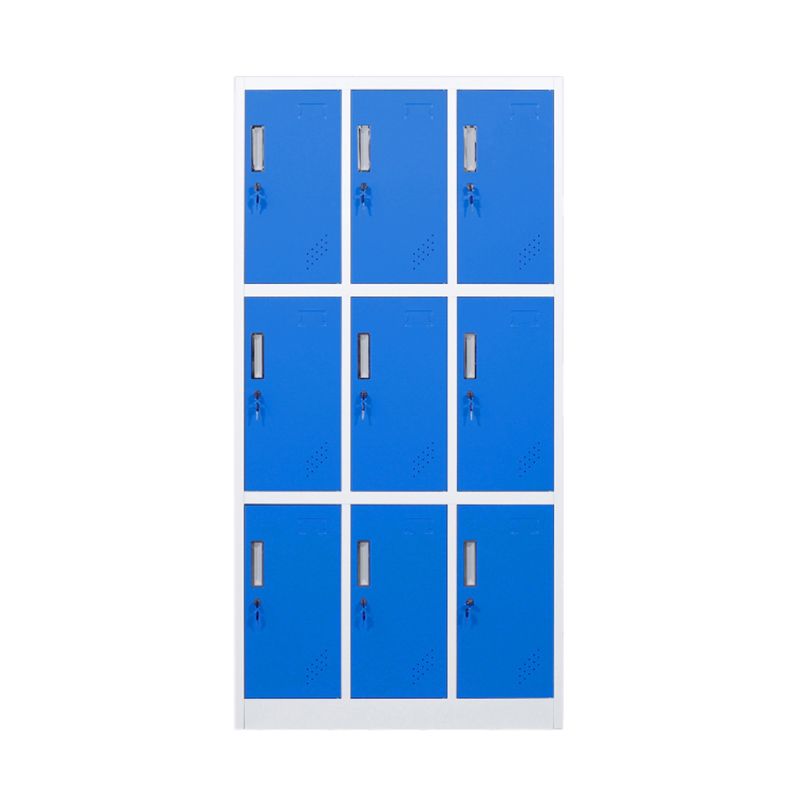 Metal Contemporary Cabinet for Home Matte Finish Storage Cabinet