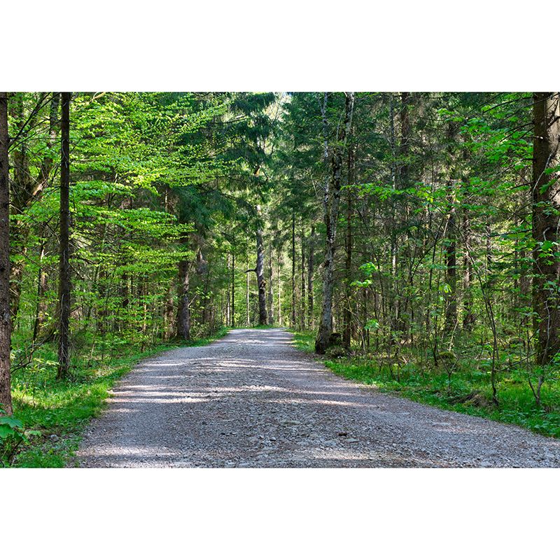 Photography Space Extension Mural Eco-friendly Wallpaper for Room