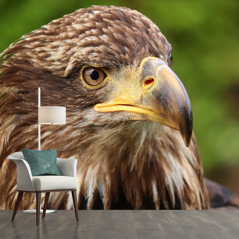 Customized Golden Eagle Mural Horizontal Photography for Sleeping Room Decoration