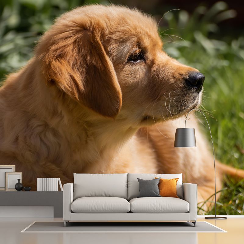Lovely Golden Retriever Mural Wall Decor Living Room Wall Covering for Decoration