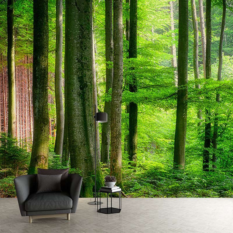 Forest Landscape Wall Mural Moisture Resistant Wall Decor, Personalized Size