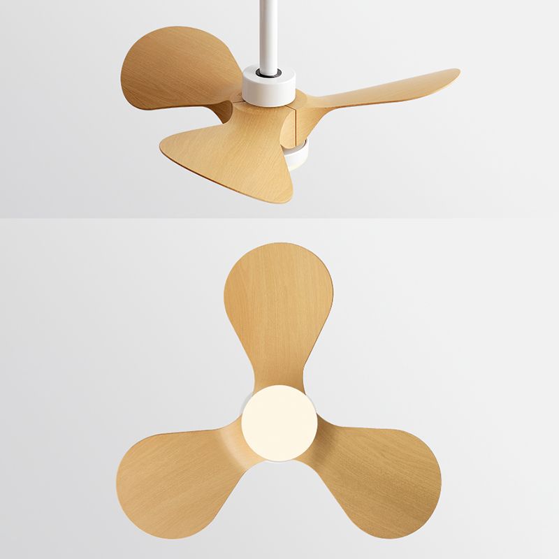 Metal Fan Shape Ceiling Fan Kid Style Single-Light Ceiling Fans Fixtures
