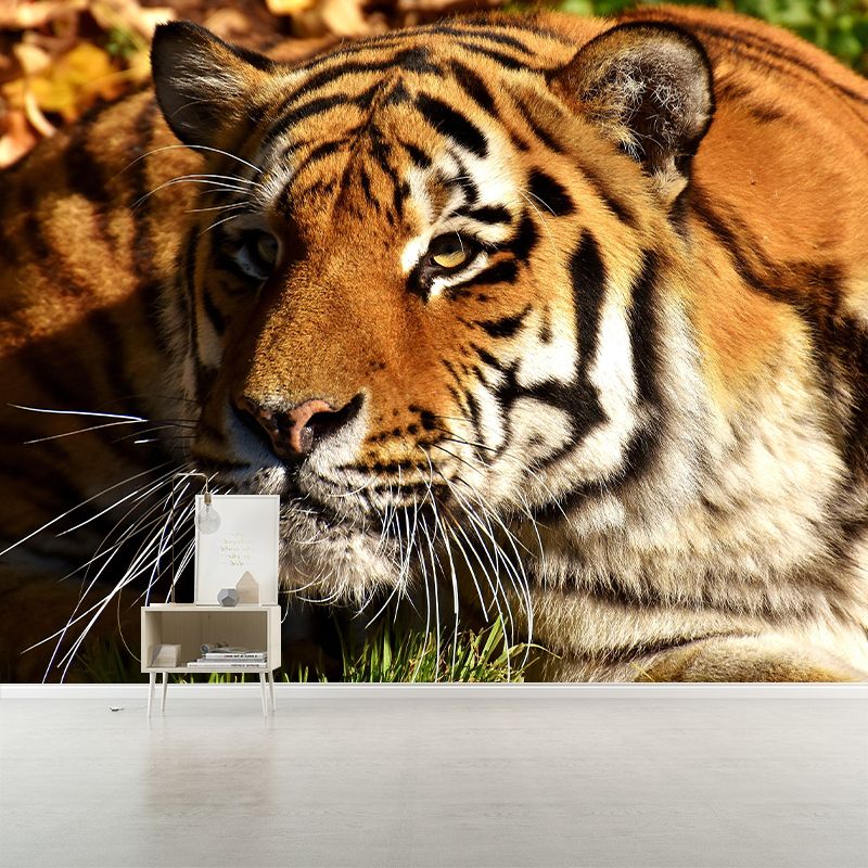 Photography Tropical Tiger Mural Wall Decor Eco-friendly Wall Art for Decoration