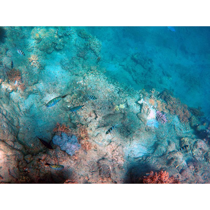 Ocean Photography Wallpaper Environmental Bathroom Floor Murals Wall Mural