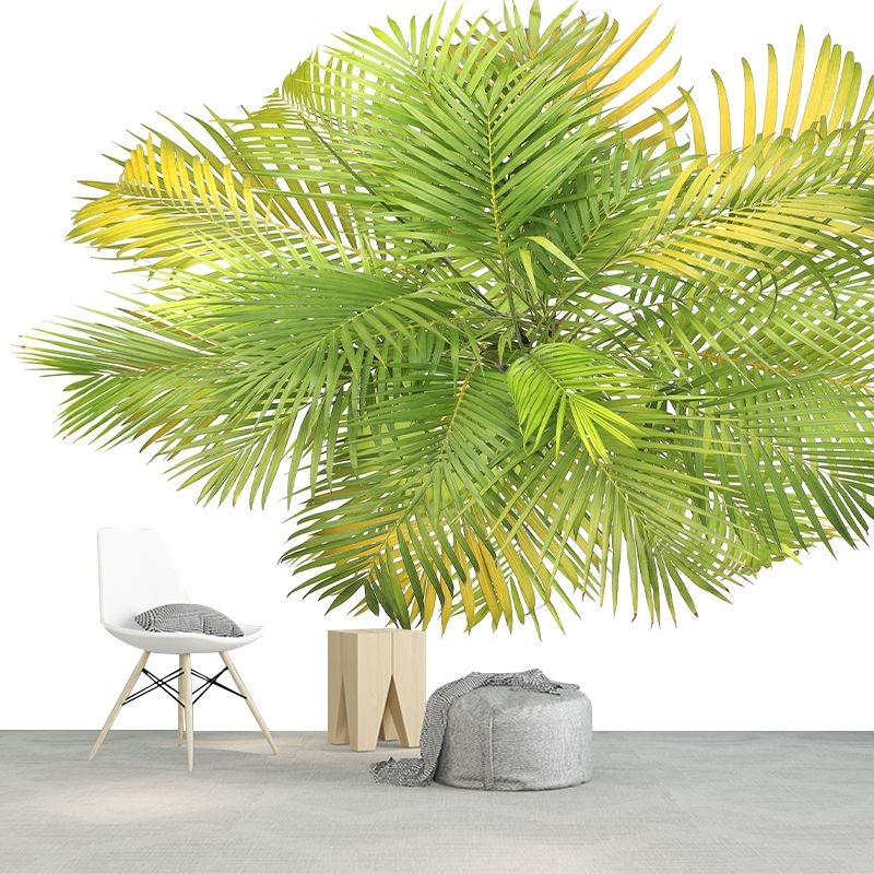 Tropical Illustration Wall Decal Stain Resistant Murals Decoration for Sleeping Room