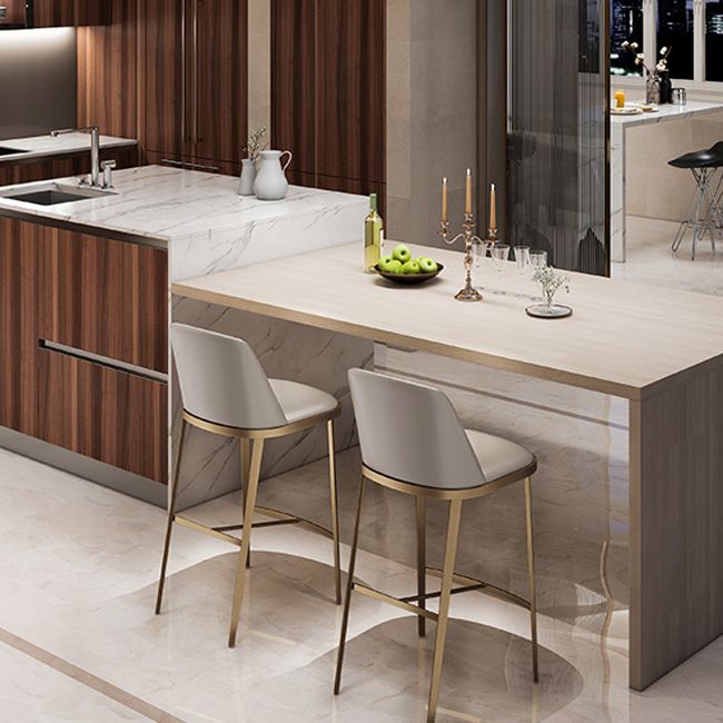 Glam Backrest Armless Counter Stool Iron Bar Stool with Cushion for Cafe