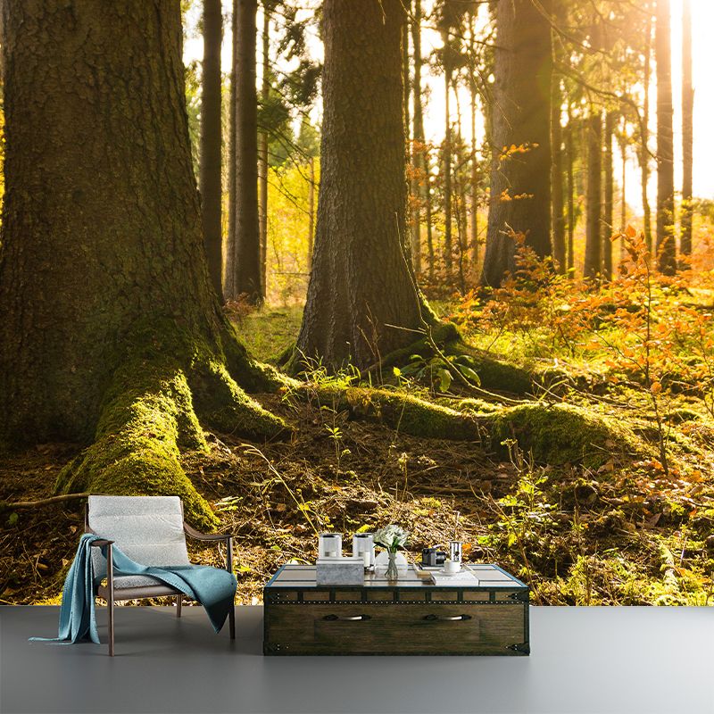 Customized Forest Mural Wall Covering Decorative Mildew Resistant for Decoration