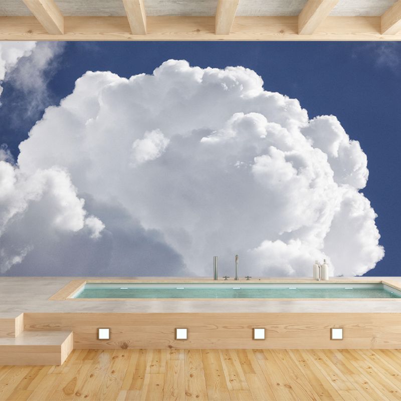 Photography Mildew Resistant Sky Mural Living Room Wall Mural