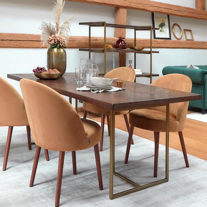 Contemporary Solid Wood Standard Dining Table Rectangle Kitchen Dining Table with Double Pedestal