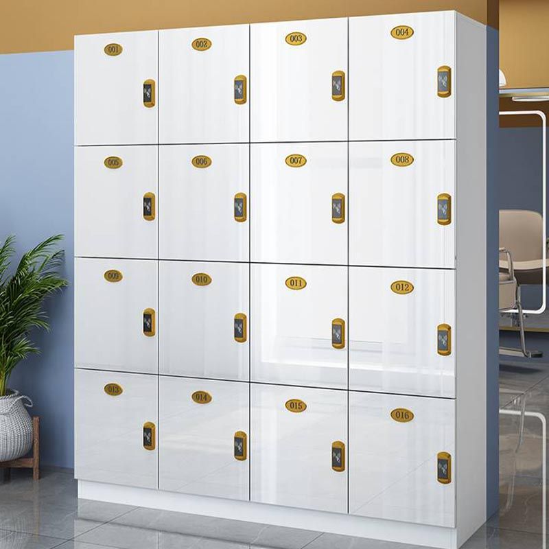 Modern Mirrored Finish Non-Hanging Armoire Manufactured Wood Storage Cabinet