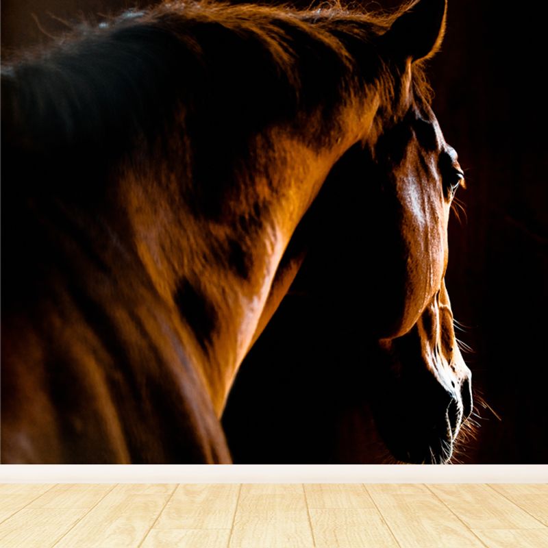 Full Size Photography Modern Mural Wallpaper with Running Steed Printed in Black