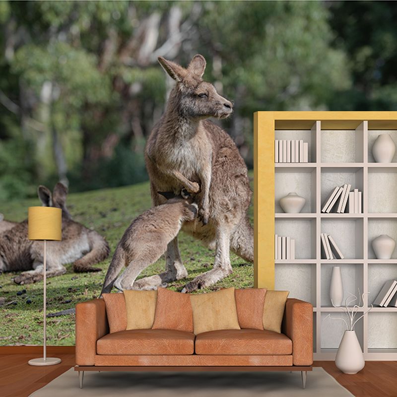 Customized Kangaroo Wall Mural Horizontal Photography for Sleeping Room Decoration