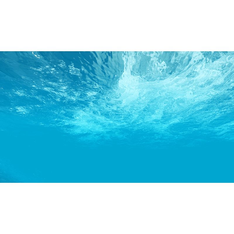 Underwater Mildew Resistant Mural Wallpaper Living Room Wall Mural