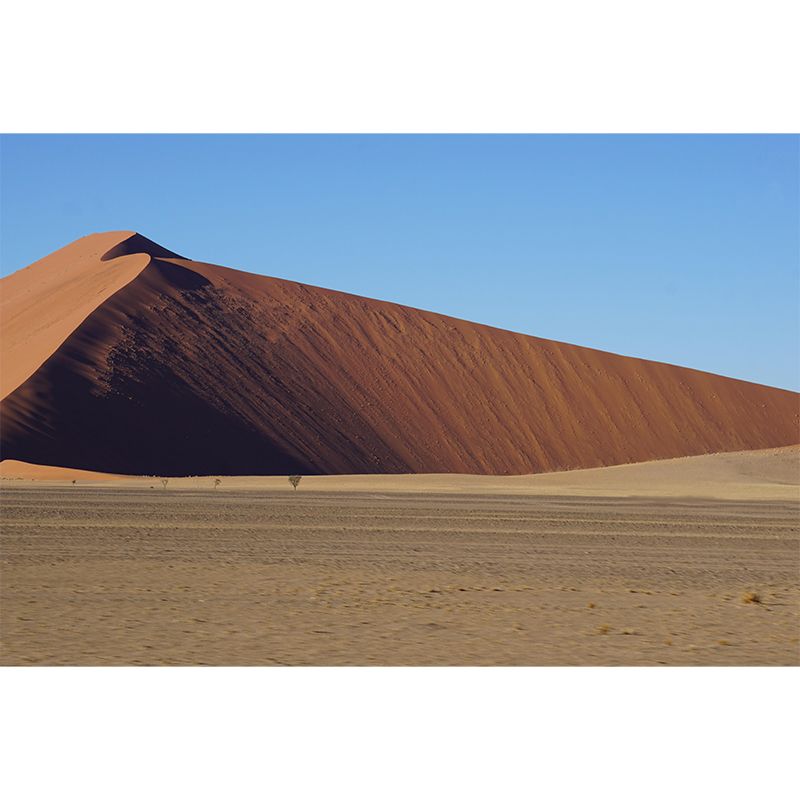 Contemporary Desert Scenery Wall Decor Living Room Wall Covering Mural for Decoration