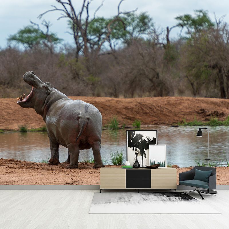Photography Mural Wall Decor Hippo Mildew Resistant Living Room Wall Mural Wall Art