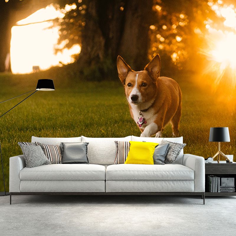 Photography Stain Resistant Wall Mural Wallpaper Lovely Dogs Sitting Room Wall Mural