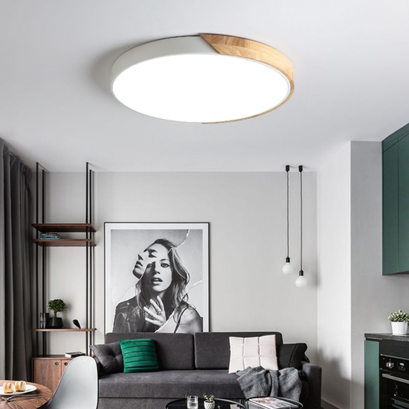 Rounded Shape 1-Light LED Flush Light New Modern Iron Flush Mount Ceiling Light Fixtures