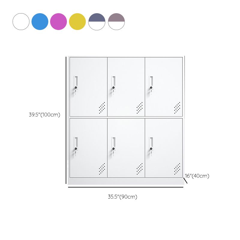 Matte Finish Steel Storage Cabinet with Hinged Doors Contemporary Non-Hanging Armoire