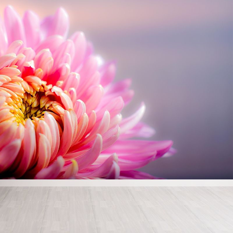 Chrysanthemum Wall Mural Photography Horizontal Modern Living Room Wall Covering