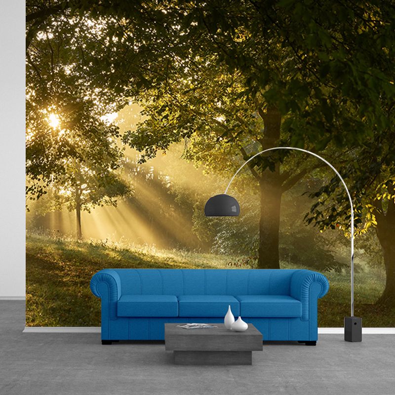 Beautiful Photography Mural Wallpaper Forest Indoor Wall Mural