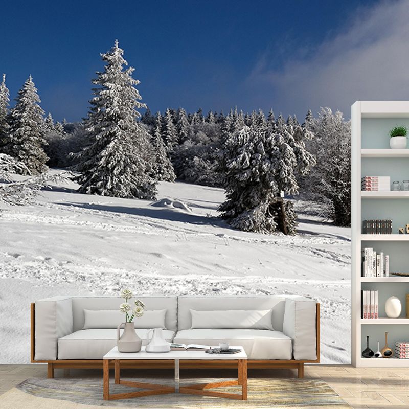 Wall Art Mural Photography Forest Wall Mural Wallpaper Bathroom