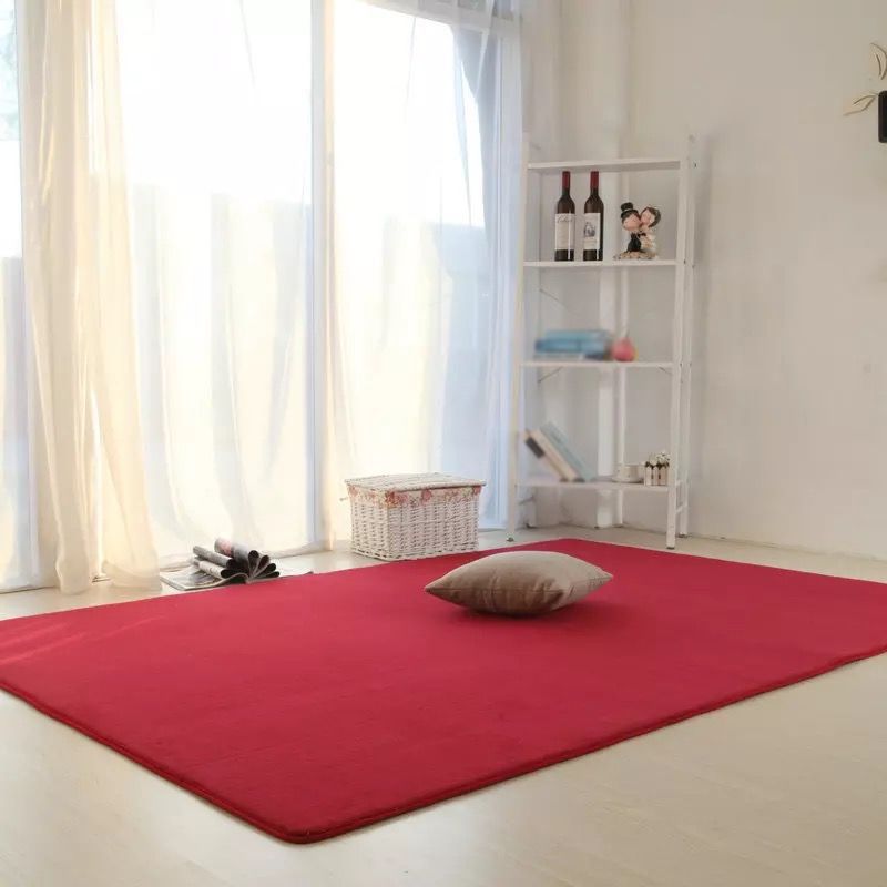Solid Color Living Room Rug Carpet Polyester Washable Area Rug