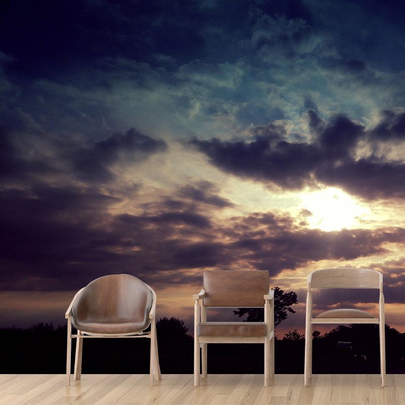 Contemporary Style Cloudscape Mural Mildew Resistant Wall Covering for Room Decor