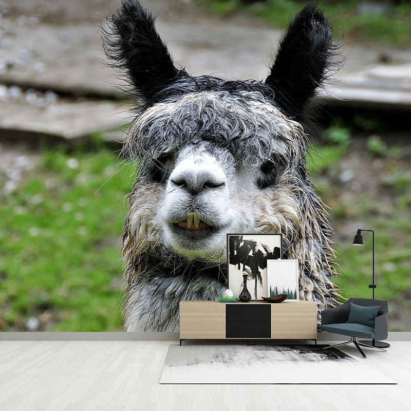 Cute Alpaca Mural Wallpaper Wall Covering Mildew Resistant for Sleeping Room