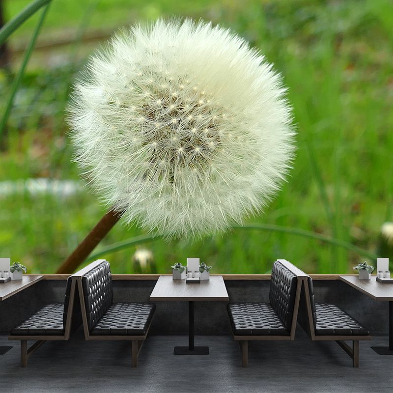 White Dandelion Wallpaper Murals Moisture Resistant Wall Decor, Personalised Size