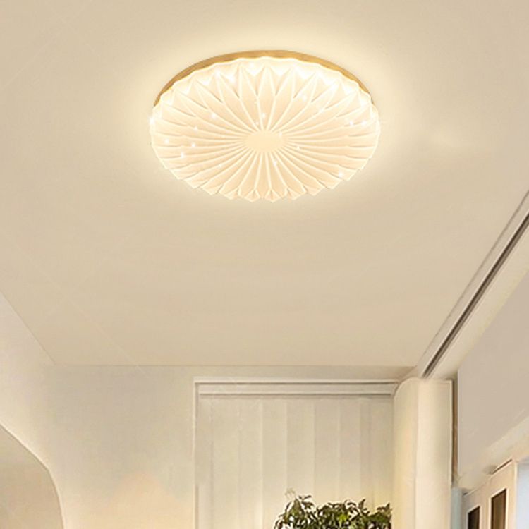 Modernism Beige Single Flush Mount Lighting Round LED Ceiling Light with Acrylic