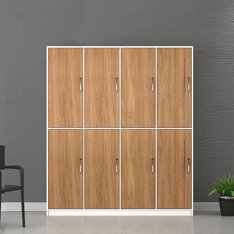 Contemporary Brown Storage Cabinet Manufactured Wood Hinged Door Cabinet