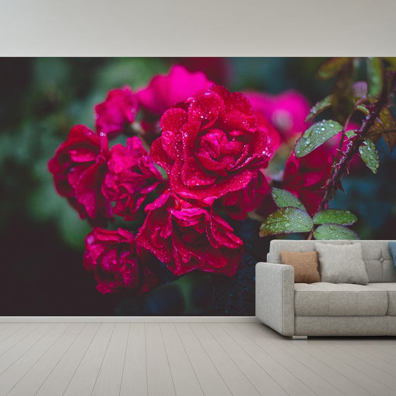 Elegant Rose Flower Photography Mural Environment Friendly Wallpaper for Girl's Bedroom