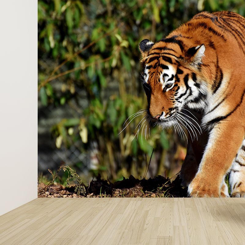 Cool Tiger Wall Paper Murals Waterproof Sitting Room Wall Decor, Custom Size Available