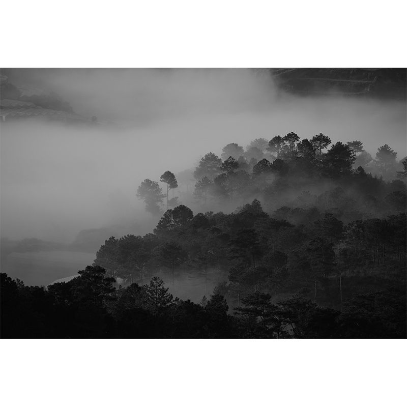 Environmental Photography Mural Wallpaper Beautiful Scenery Indoor Wall Mural