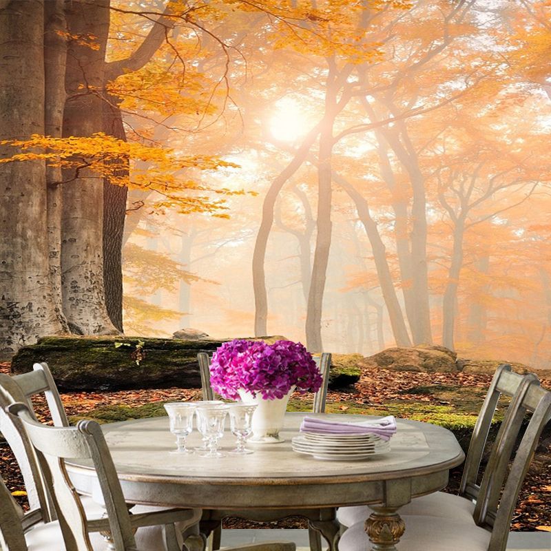 Modern Style Fall Scenery Mural Orange Morning Sunshine Shines Through Forest Wall Art