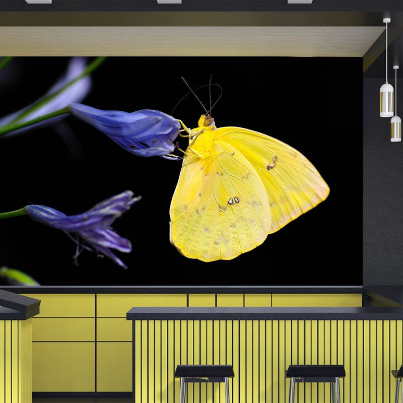 Photography Butterfly Mural Wallpaper Moisture Resistant for Living Room Bedroom