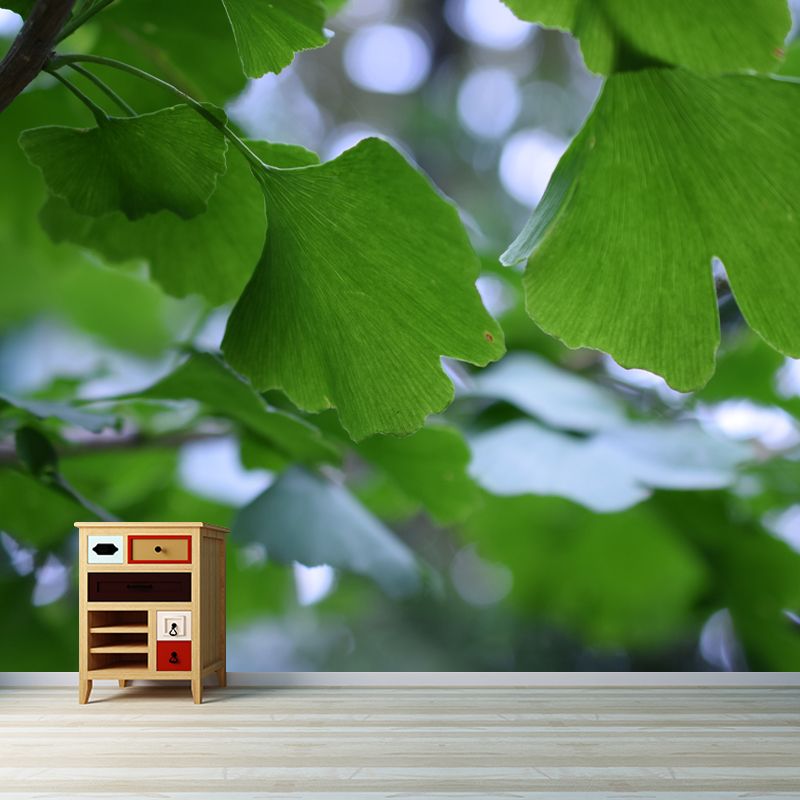 Ginkgo Biloba Mural Wallpaper Contemporary Wall Covering for Sitting Room