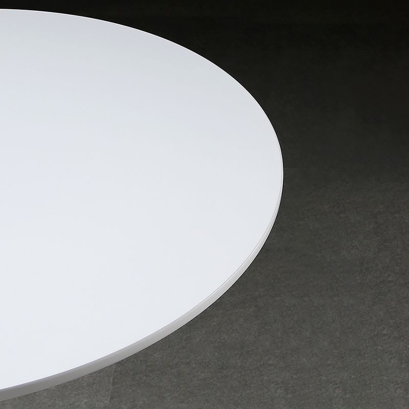 Metal Contemporary Round Dining Table Wood Top Table with Tulip