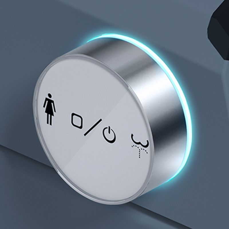 Contemporary Siphon Jet Toilet Bowl One Piece Ceramic Urine Toilet with Seat