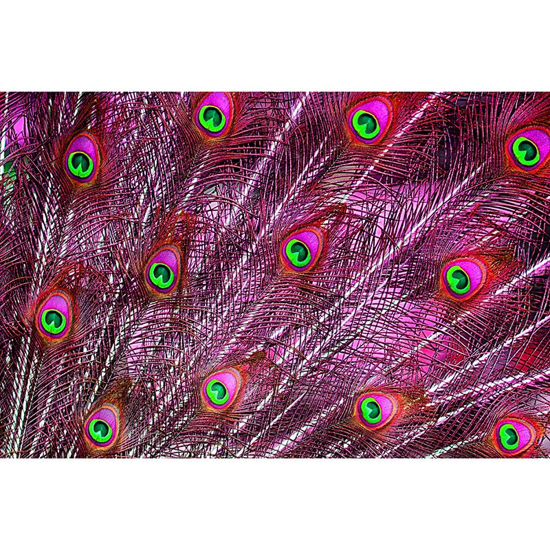 Chromatic Wall Mural Peacock Feather Print Living Room Wall Mural