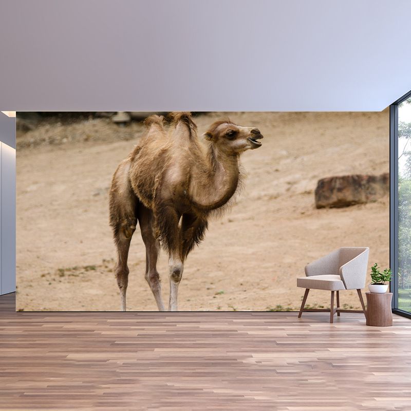 Desert Camel Wall Paper Moisture Resistant Living Room Wall Decor, Custom Size Available