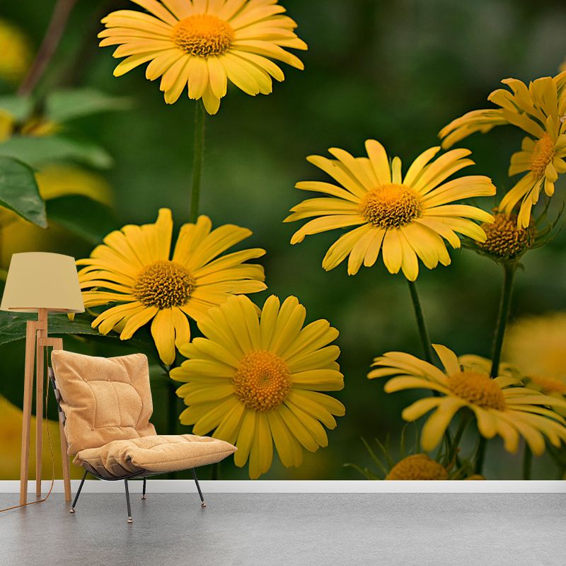 Customized Blooming Wildflowers Mural Wallpaper Contemporary for Guest Room Decor