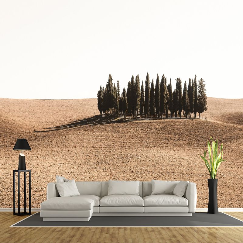 Soft Color Desert Mural Decal Nature Scenery Modern Mildew Resistant for Room