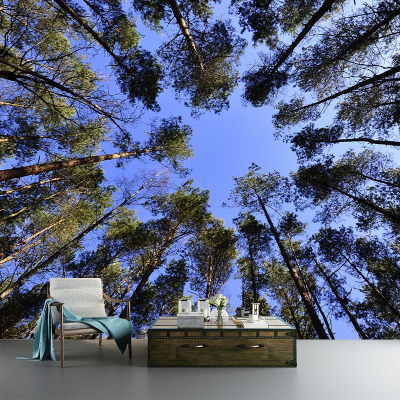 Fancy Scene Style Forest Wall Mural Wallpaper Photography Mildew Resistant for Room